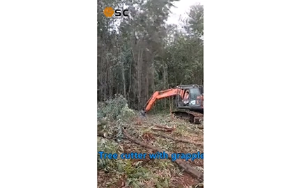 Cisalhamento de árvore com garra