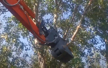Tesoura de árvore com rotação de 360 °